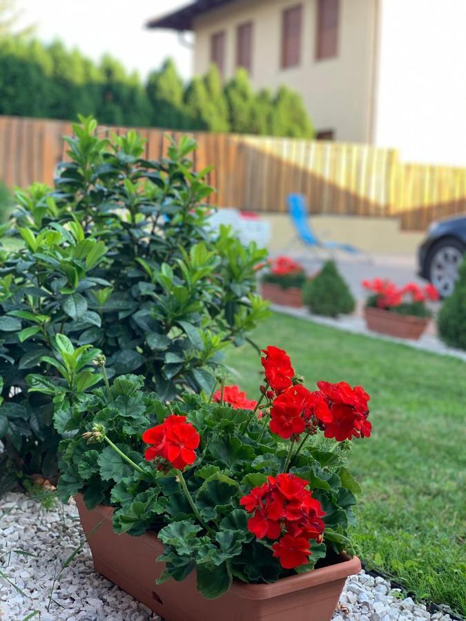 House4U Villa Balatonszárszó Dış mekan fotoğraf