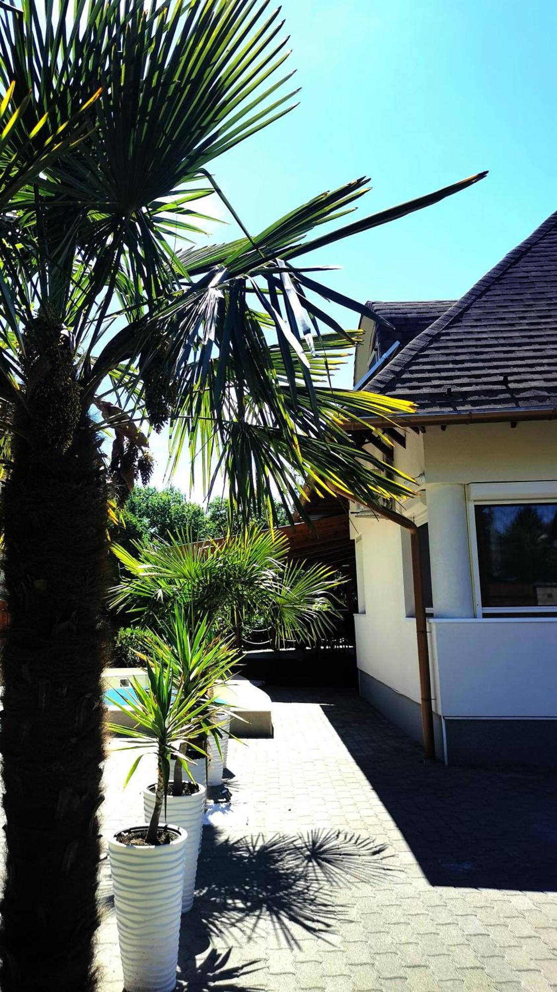 House4U Villa Balatonszárszó Dış mekan fotoğraf